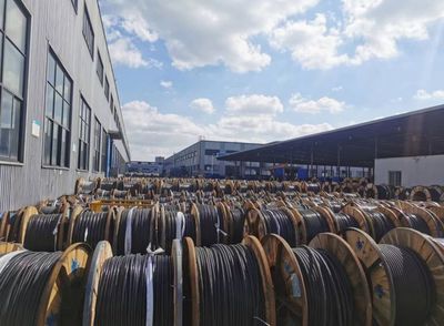 金山 推动实体产业转型发展 加快建设现代化产业体系——以电缆产业为切入点